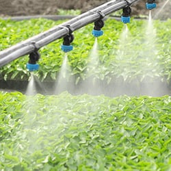 cultivation-runoff-banner-square